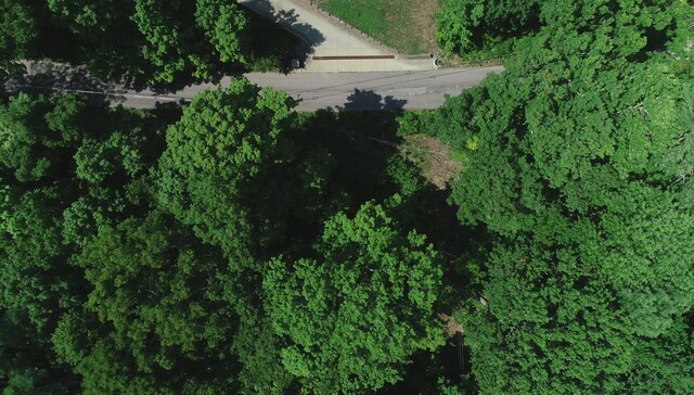 905 Otter Creek Rd, Nashville, TN 37220 - photo 8