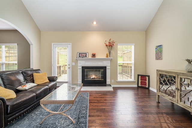 living room featuring dark hardwood / wood-style floors, lofted ceiling, and a wealth of natural light