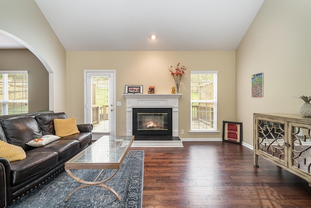 living room featuring dark wood-type flooring