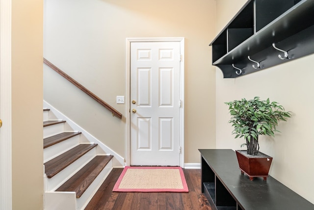 mudroom featuring dark wood-type flooring