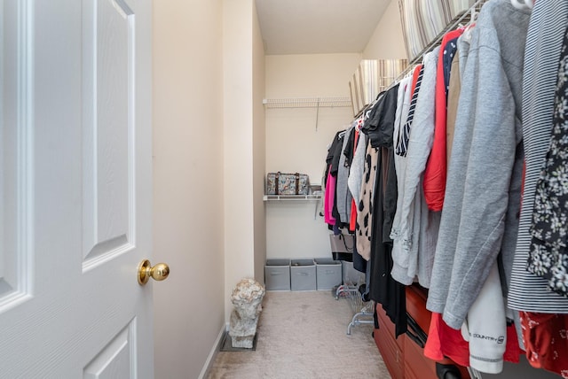 walk in closet with carpet