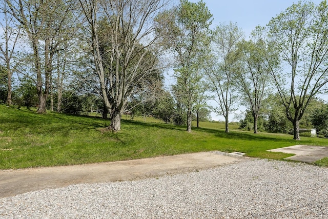 surrounding community featuring a lawn