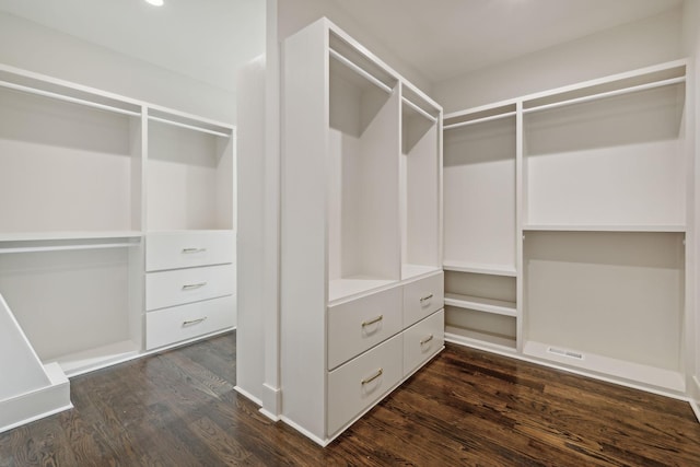 spacious closet with dark hardwood / wood-style flooring