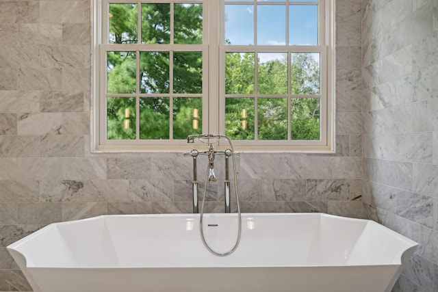 bathroom featuring a bathtub and a wealth of natural light