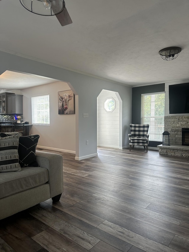 living room featuring dark wood-style floors, a wealth of natural light, a stone fireplace, and arched walkways