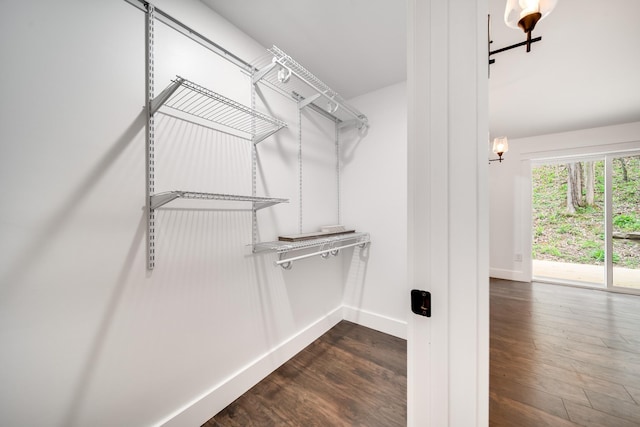 walk in closet featuring dark wood-type flooring