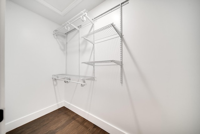 spacious closet with wood-type flooring