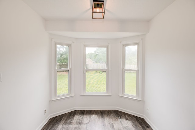 spare room with dark wood-type flooring and a wealth of natural light