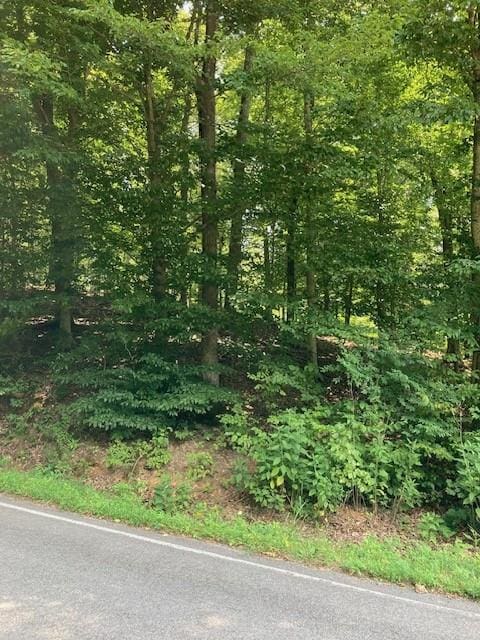 Listing photo 2 for 0 Elk Creek Rd, Cumberland City TN 37050