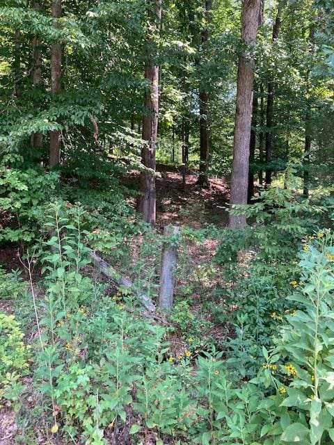 Listing photo 3 for 0 Elk Creek Rd, Cumberland City TN 37050