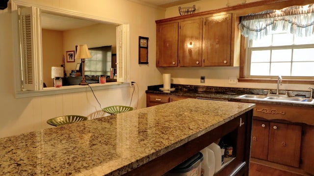 kitchen with a sink and brown cabinets