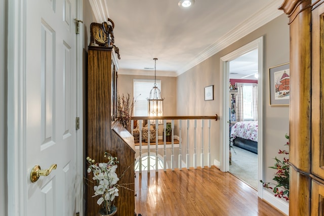 hallway with crown molding and wood-type flooring