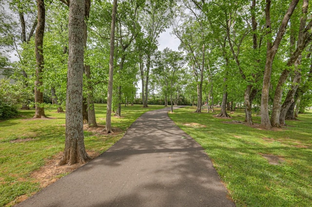 view of community featuring a lawn