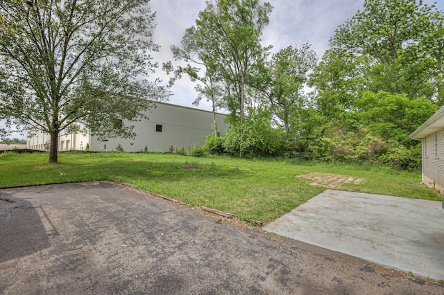 view of yard featuring a patio