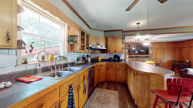 kitchen with tasteful backsplash, dark hardwood / wood-style flooring, ceiling fan, sink, and ornamental molding