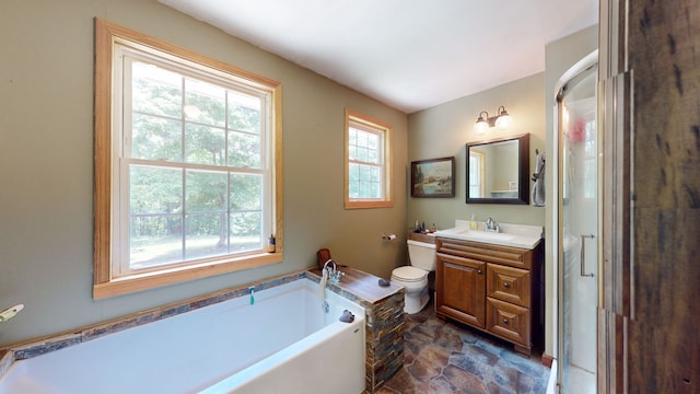 bathroom featuring a healthy amount of sunlight, toilet, and vanity