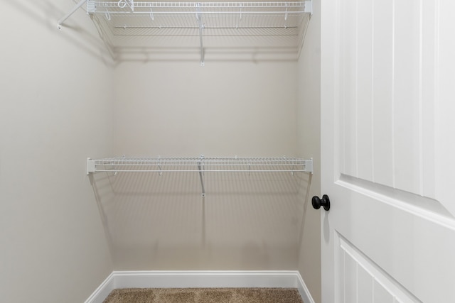 walk in closet with carpet