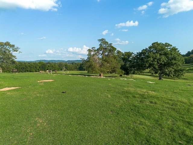 view of home's community featuring a lawn and a mountain view