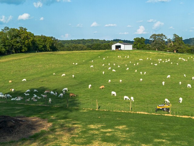 view of property's community featuring a yard