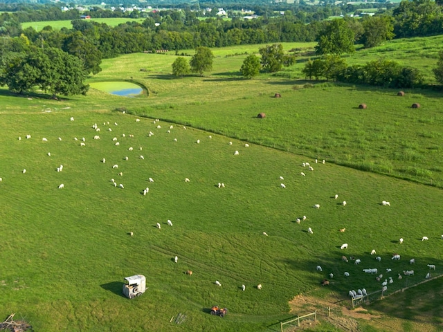 bird's eye view featuring a rural view