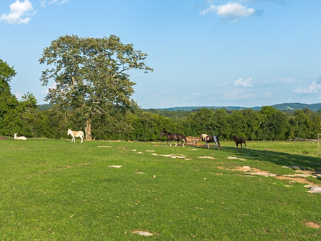surrounding community with a view of trees, a lawn, and a rural view