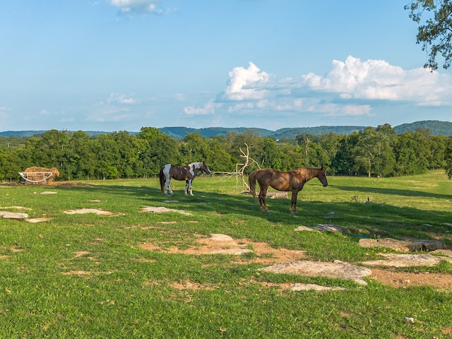 view of community featuring a rural view and a lawn