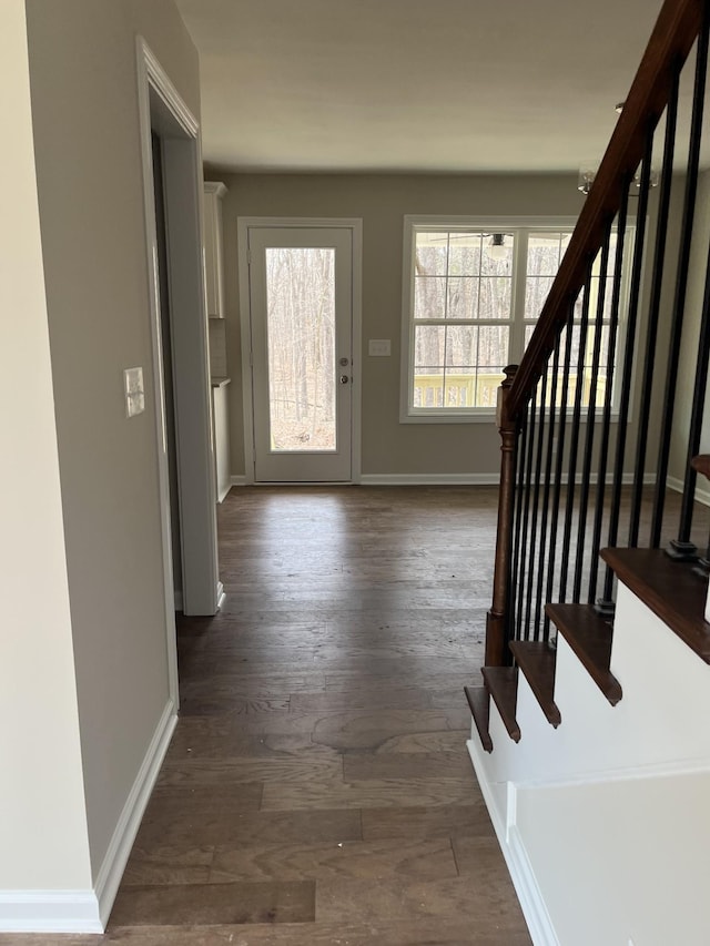 foyer entrance featuring dark hardwood / wood-style flooring