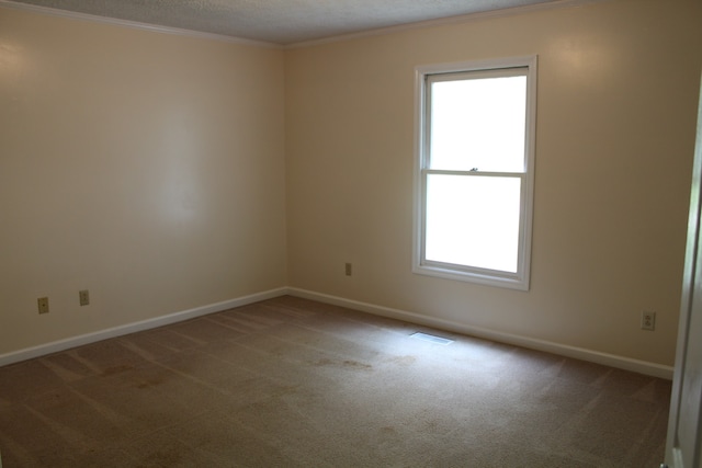 carpeted empty room featuring crown molding and a textured ceiling