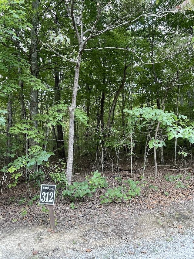 Listing photo 3 for 0 Timberwood Trce, Monteagle TN 37356