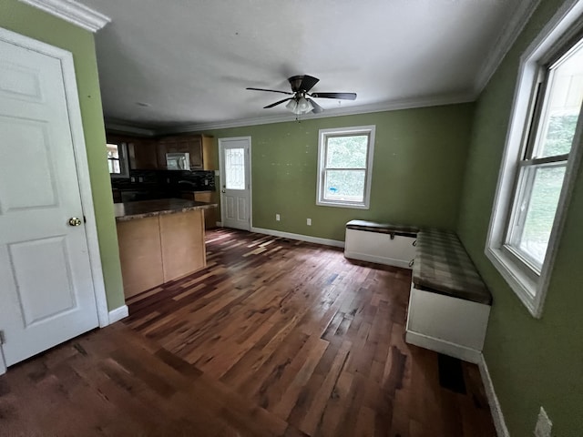 kitchen with ornamental molding, dark wood-style flooring, and brown cabinetry