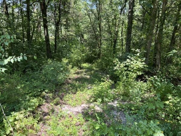 4929B Bethesda Duplex Rd, College Grove, TN 37046 - photo 8
