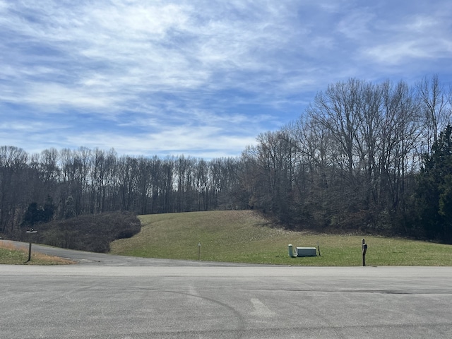 120 Holly Bend Dr, Byrdstown TN, 38549 land for sale