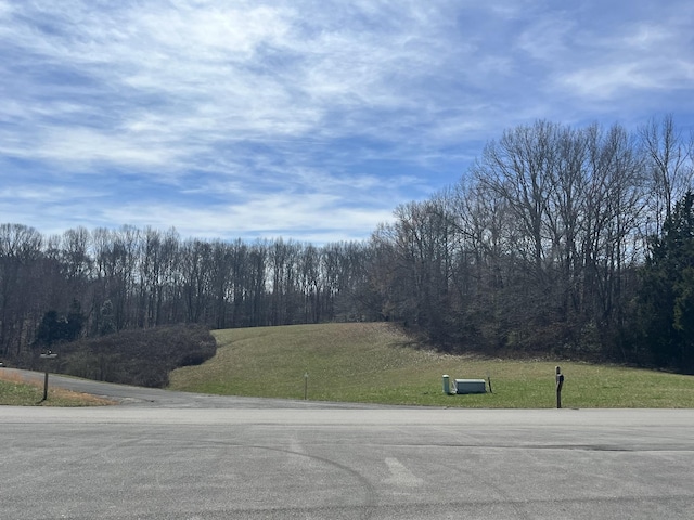 120 Holly Bend Dr, Byrdstown, TN 38549 - photo 1