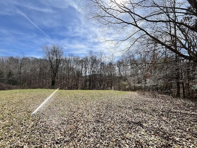 120 Holly Bend Dr, Byrdstown, TN 38549 - photo 3