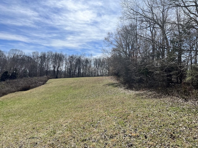 120 Holly Bend Dr, Byrdstown, TN 38549 - photo 2
