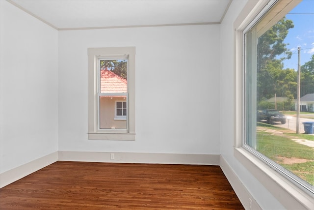 unfurnished room featuring dark wood-type flooring