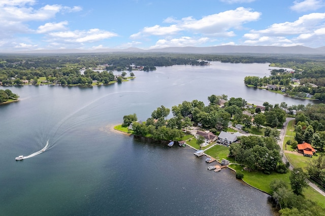 birds eye view of property with a water and mountain view