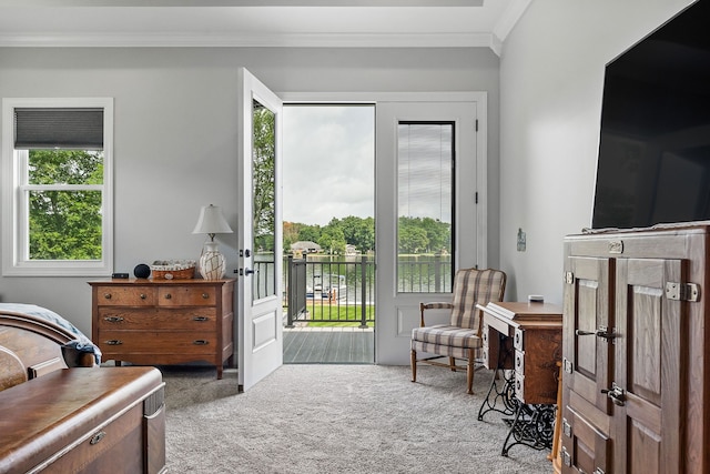 bedroom with crown molding and carpet flooring