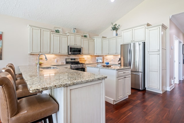 kitchen featuring tasteful backsplash, stainless steel appliances, sink, kitchen peninsula, and dark hardwood / wood-style floors