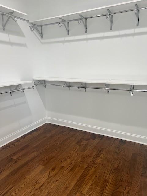 spacious closet featuring dark hardwood / wood-style flooring