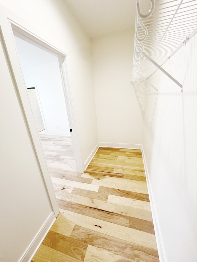 spacious closet featuring light hardwood / wood-style flooring