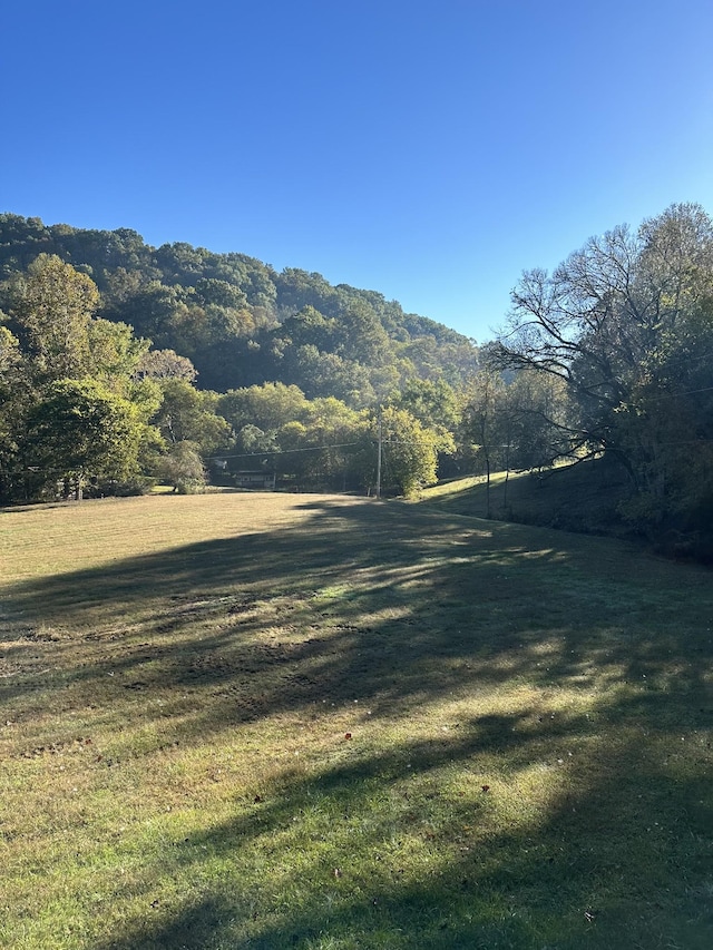 view of yard with a wooded view