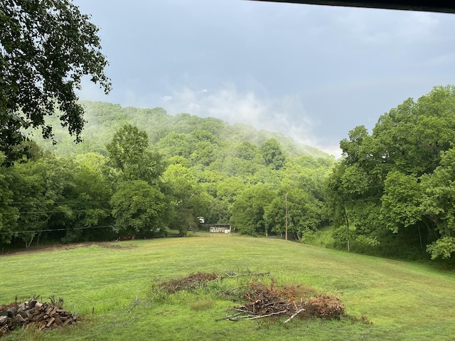 view of yard featuring a wooded view