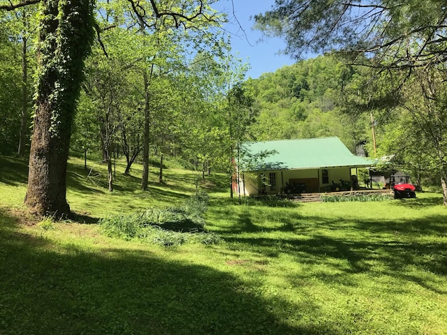 view of yard featuring a forest view