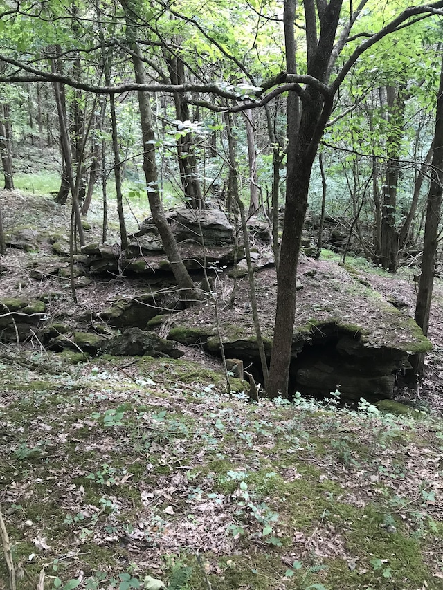 view of landscape featuring a forest view