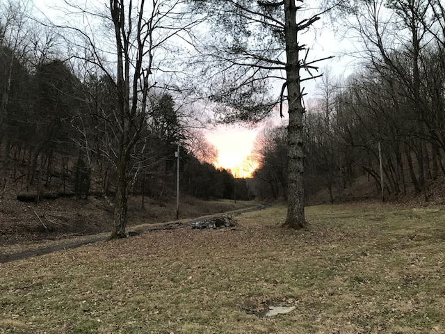 view of nature at dusk