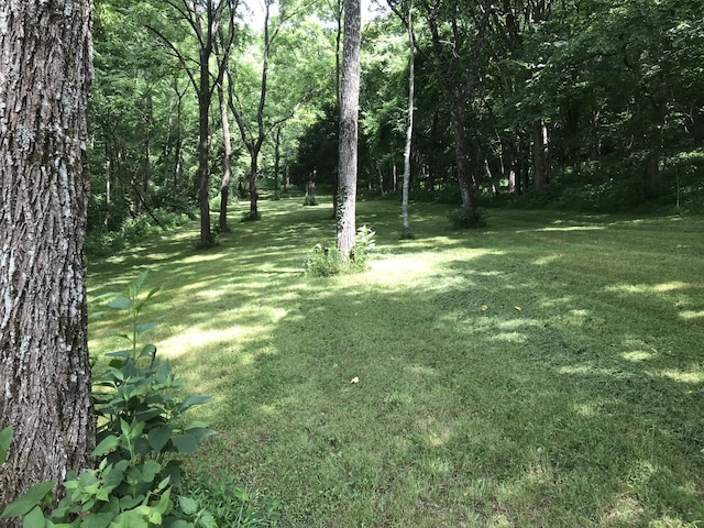 view of yard featuring a forest view