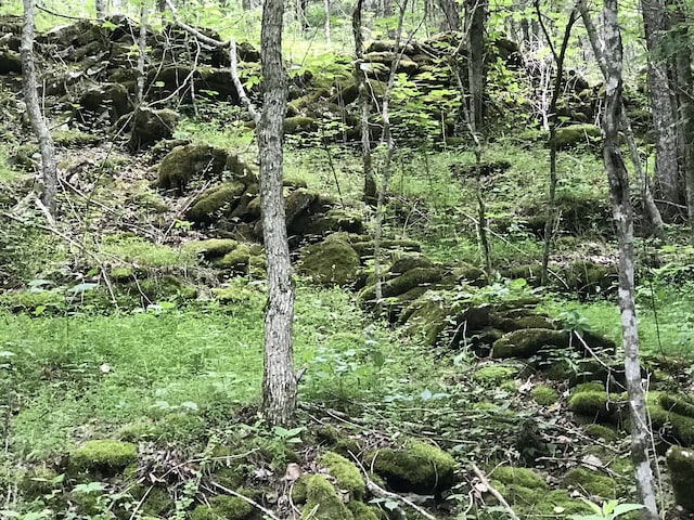 view of landscape featuring a forest view