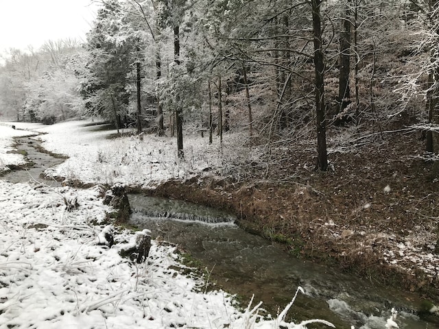 view of local wilderness