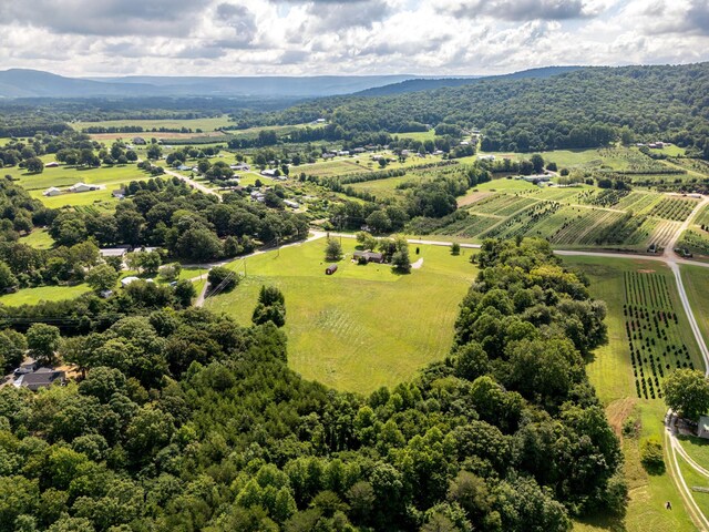 aerial view with a mountain view and a rural view